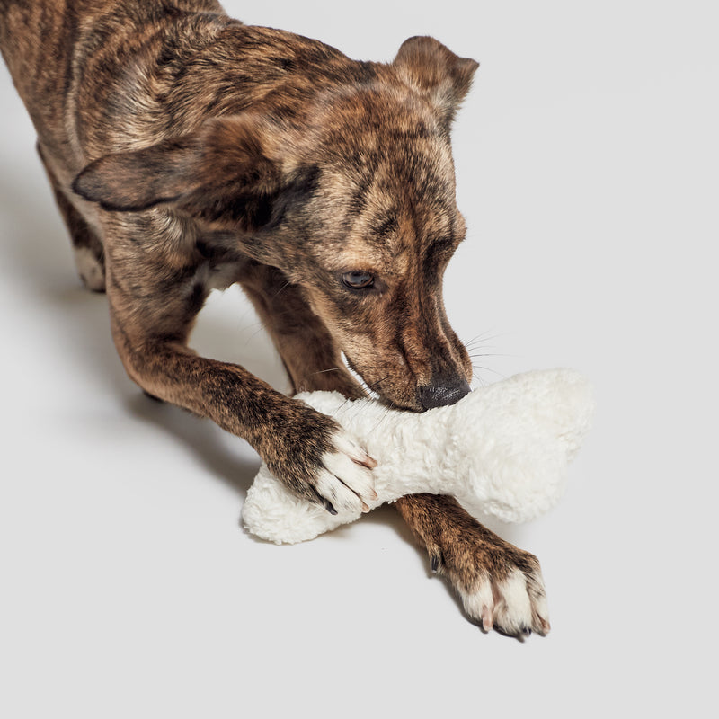 Cloud7 Spielzeug Love Bone Weiß Plüsch Natürliches Hundespielzeug
