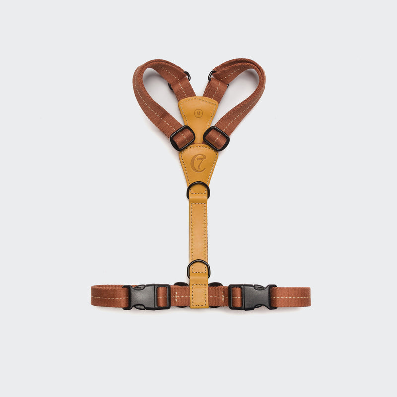     Cloud7 Y-Hundegeschirr Madeira Ginger Hundegeschirr mit Leder