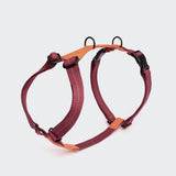      Cloud7 Y-Hundegeschirr Madeira Papaya Hundegeschirr mit Leder