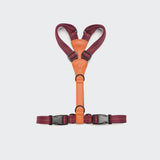     Cloud7 Y-Hundegeschirr Madeira Papaya verstellbares Hundegeschirr mit Leder