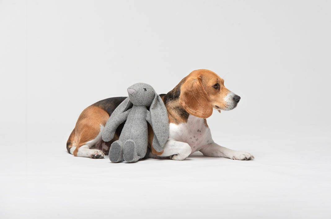 Lilly Plüsch Hundespielzeug Kaninchen Rupert Spielzeug für Hunde
