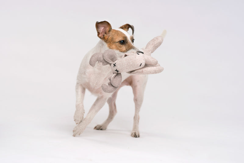 Lilly Plüsch Hundespielzeug Rentier Marley Spielzeug für Hunde
