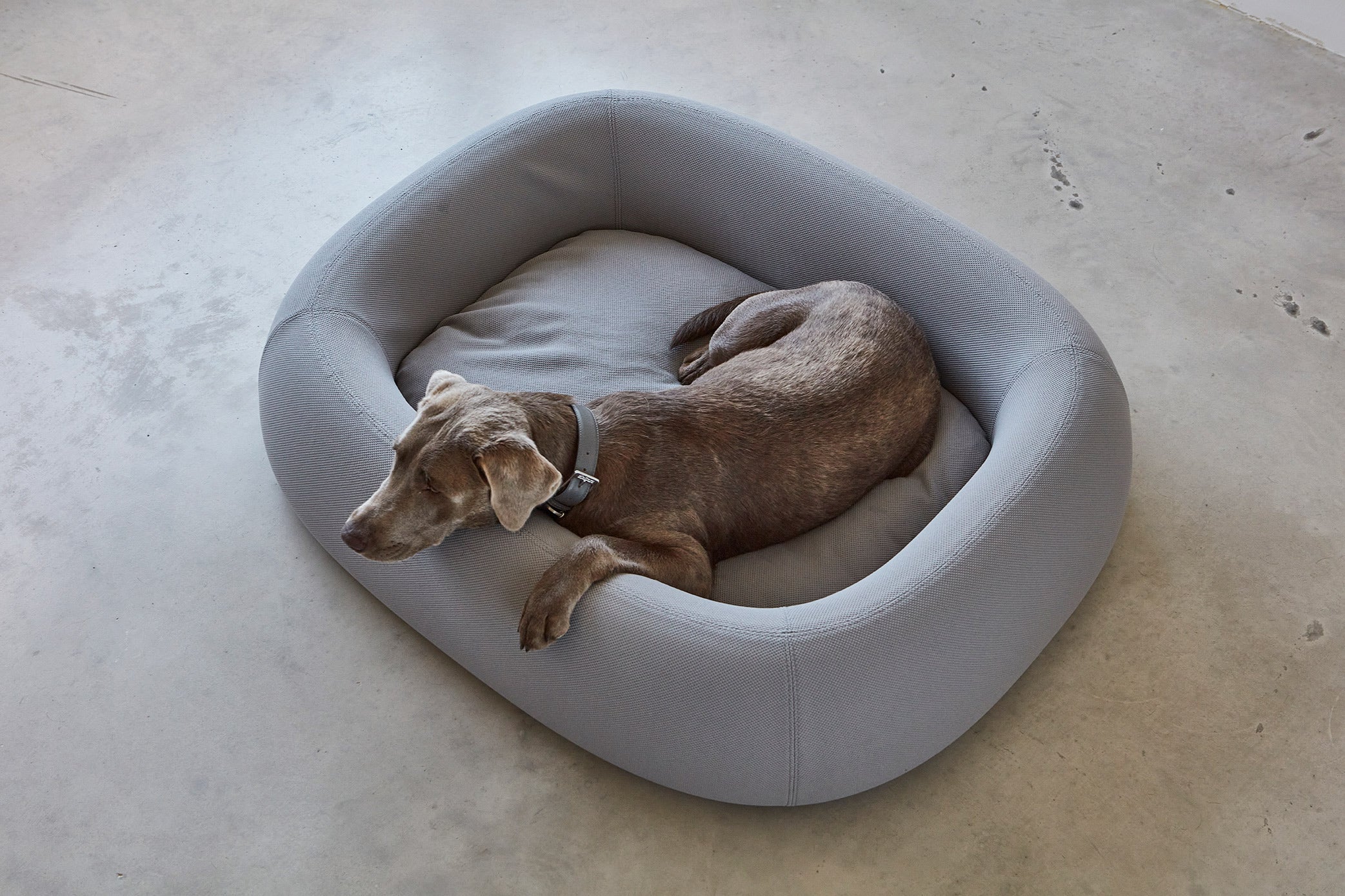 MiaCara Barca Hundebett Schiefer waschbares Hundebett