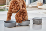 MiaCara Bento Reisenapf & Futterbehälter Reisen mit Hund