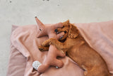 MiaCara Bosco Stofftier Fuchs Ziegel weiches Hundespielzeug