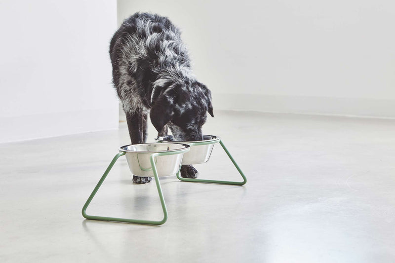 MiaCara Cena Napfständer Dusty Green Hundenapf
