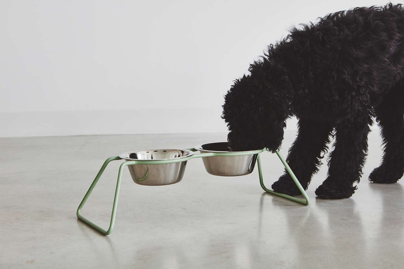 MiaCara Cena Napfständer Dusty Green Napf