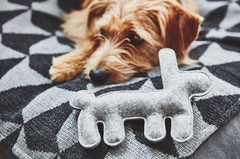 MiaCara Cielo Hundedecke Anthrazit / Grau Hundedecke waschbar