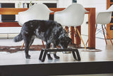 MiaCara Desco Napfstaender Holz Esche lackiert schwarz moderner Hundenapfstaender