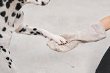 MiaCara Guanto Trockenhandschuh Greige Hundetrockentuch