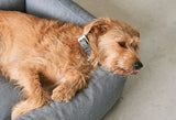     MiaCara Mare Box-Bett Fels modernes Hundebett