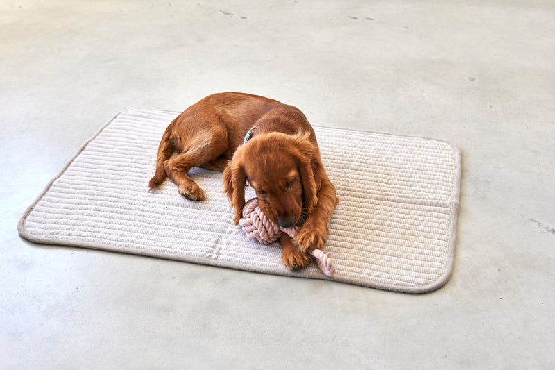     MiaCara Onda Strickdecke Greige Beige Hundedecke