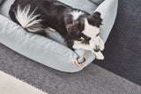 MiaCara Sonno  Box-Bett Gletscher Hundebett Umrandung