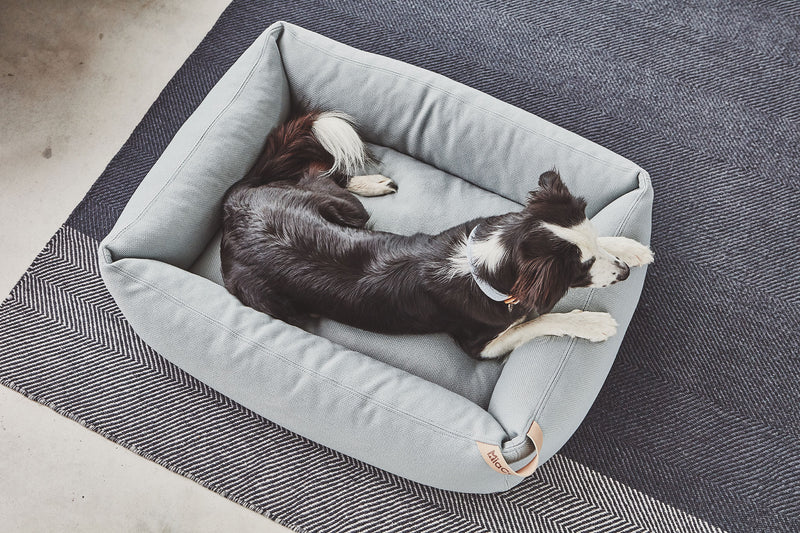 MiaCara Sonno  Box-Bett Gletscher Hundebett antiallergen