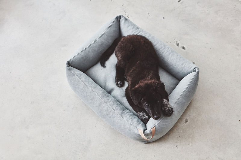 MiaCara Sonno  Box-Bett Gletscher Hundebett waschbar