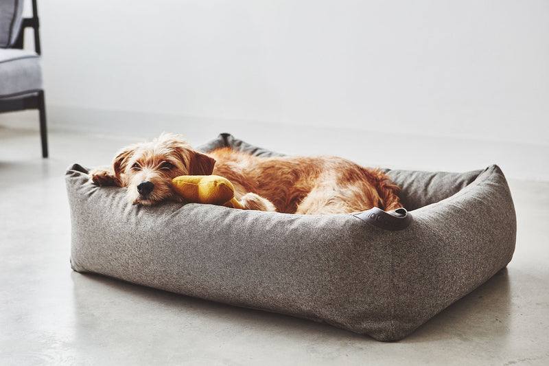 MiaCara Stella  Box-Bett Mocca meliert Hundebett antiallergen