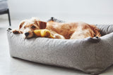 MiaCara Stella  Box-Bett Mocca meliert Hundebett formstabil