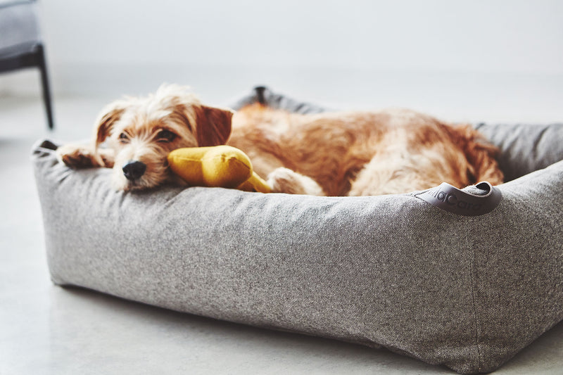 MiaCara Stella  Box-Bett Mocca meliert Hundebett formstabil