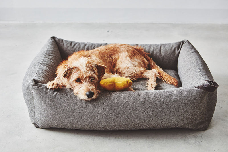 MiaCara Stella  Box-Bett Mocca meliert Hundekissen