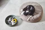 MiaCara Stella Hunde-Pouf Taupe Hundekissen waschbar