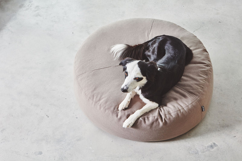 MiaCara Stella Hunde-Pouf Taupe Produktdetails