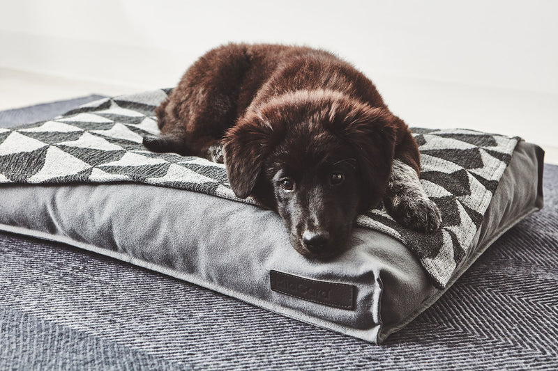 MiaCara Stella Hundekissen Schiefer Hundebett