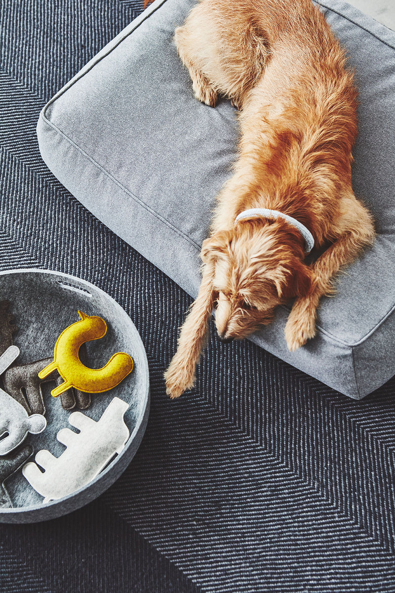 MiaCara Stella Stella Loungekissen ML Schiefer meliert Hundekissen