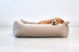     MiaCara Velluto Box-Bett Greige modernes Hundebett