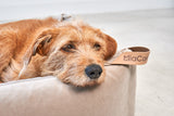 MiaCara Velluto Box-Bett Greige orthopaedisches Hundebett mit Memoryschaum