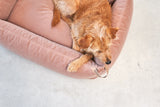 MiaCara Velluto Box-Bett Nude Hundebett mit Raendern