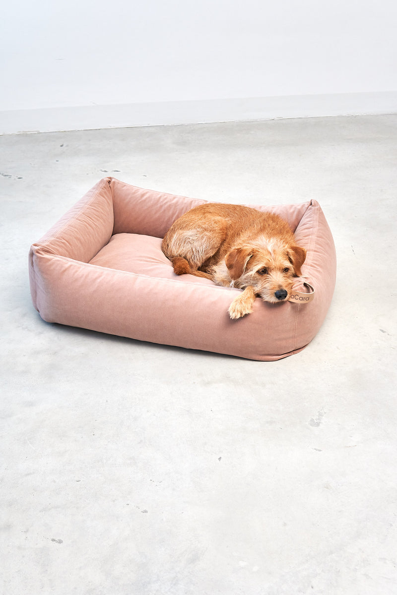 MiaCara Velluto Box-Bett Nude waschbares Hundebett