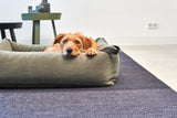 MiaCara Velluto Box-Bett Salbei orthopaedisches Hundebett mit Memoryschaum