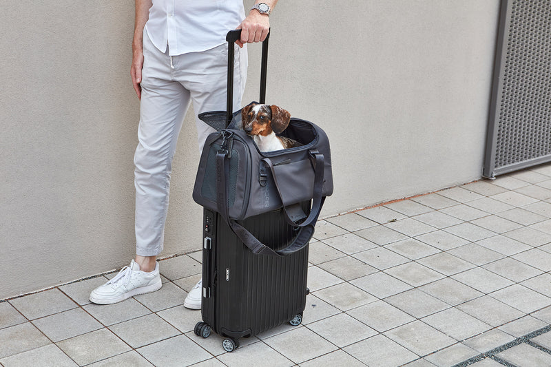 MiaCara Volata Flugreisetasche Asphalt Reisen mit Hund