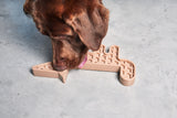 MiaCara Volpe Hundespielzeug - Nude Beschäftigung