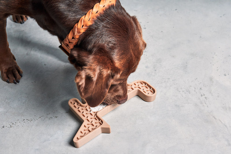 MiaCara Volpe Hundespielzeug - Nude Beschäftigungsspielzeug für Hunde