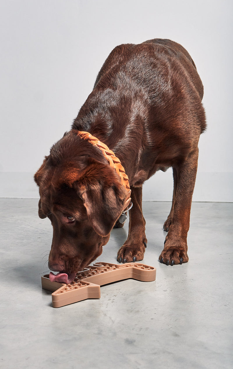 MiaCara Volpe Hundespielzeug - Nude Schleckmatte für Hunde