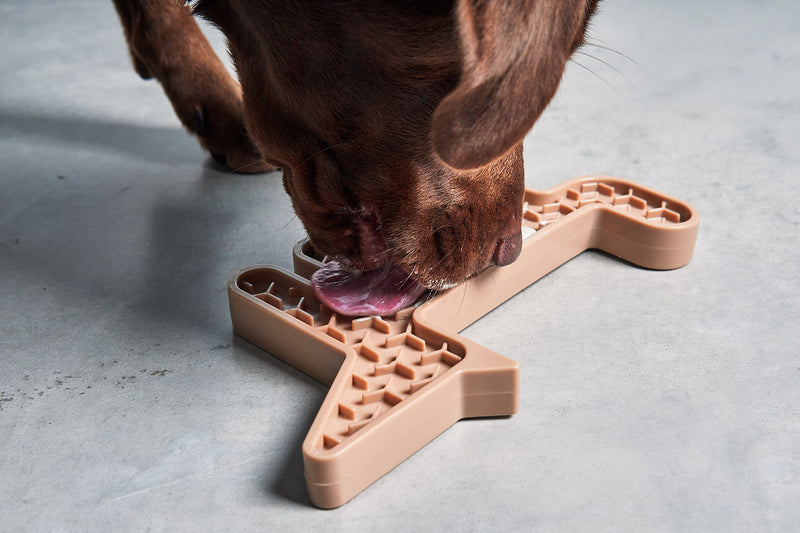 MiaCara Volpe Hundespielzeug - Nude Spielzeug für Hunde