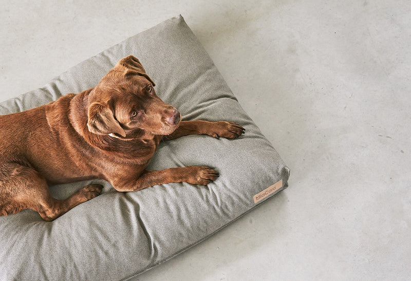 Miacara Mare Hundekissen Sand waschbares Hundekissen