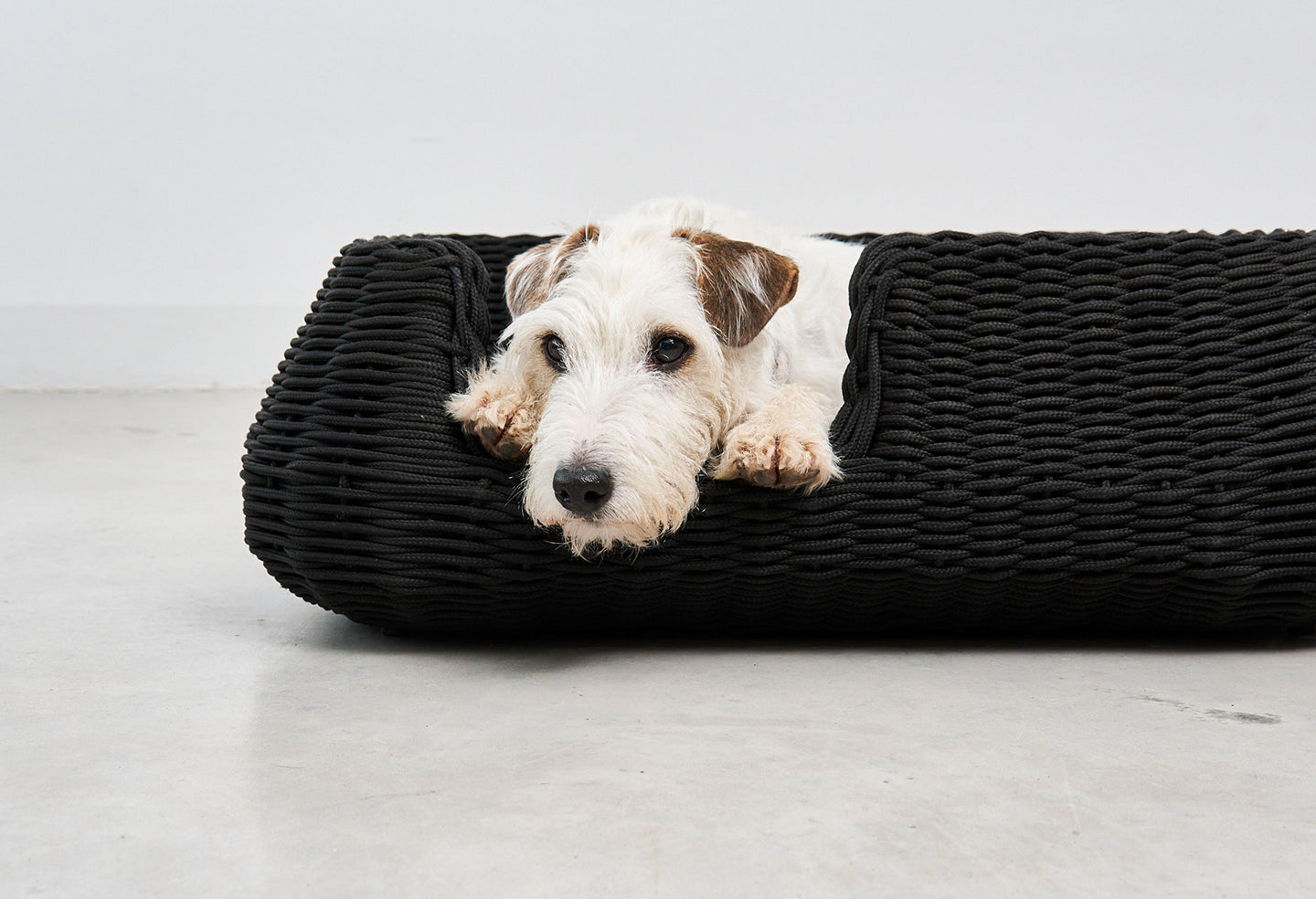Miacara Mio Hundekorb Anthrazit orthopaedisches Outdoor Hundebett