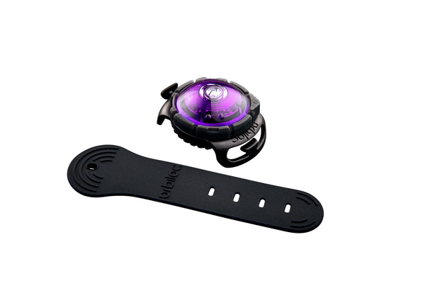 Orbiloc Dog Dual Adjustable Strap Purple LED Sicherheitslicht