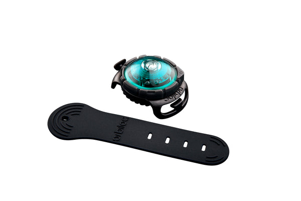 Orbiloc Dog Dual Adjustable Strap Turquoise LED Sicherheitslicht