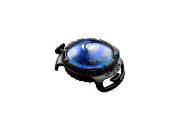 Orbiloc Dog Dual Blue LED Sicherheitslicht