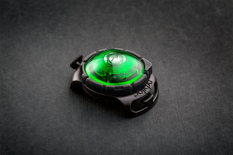 Orbiloc Dog Dual Green