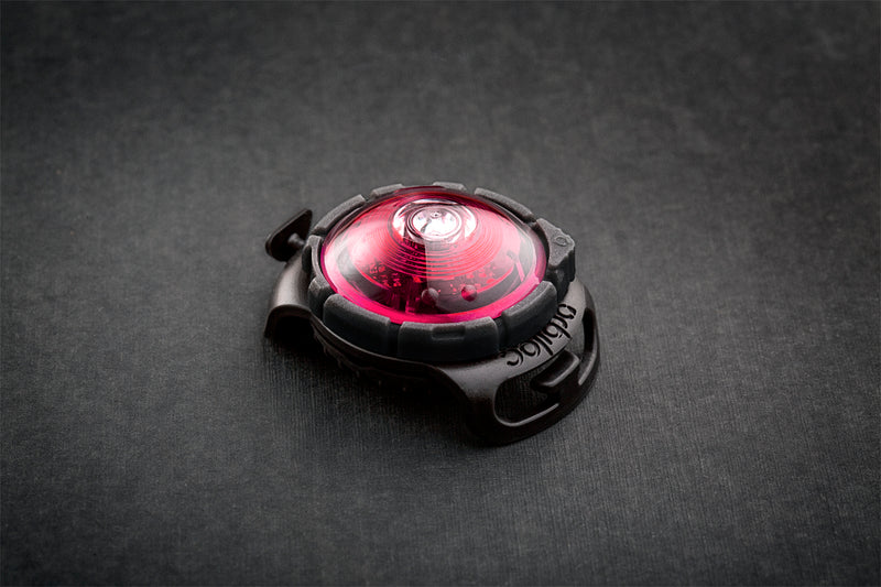 Orbiloc Dog Dual Pink