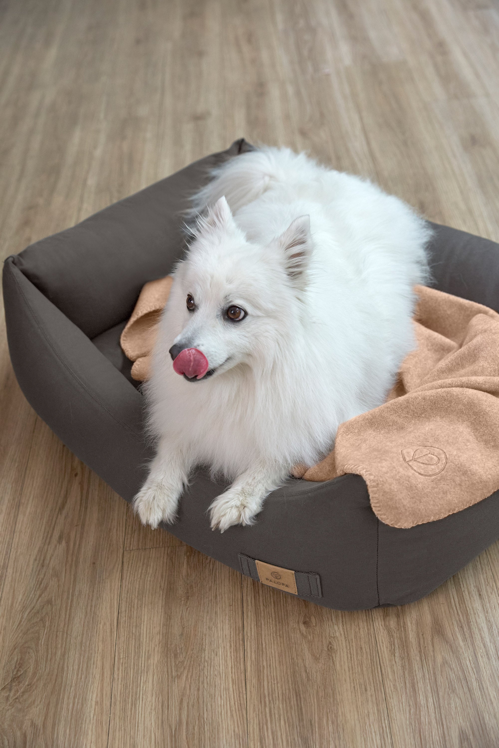 PALOPA Hundebett Anthrazit Fred Hundedecke Mathilda Ahorn