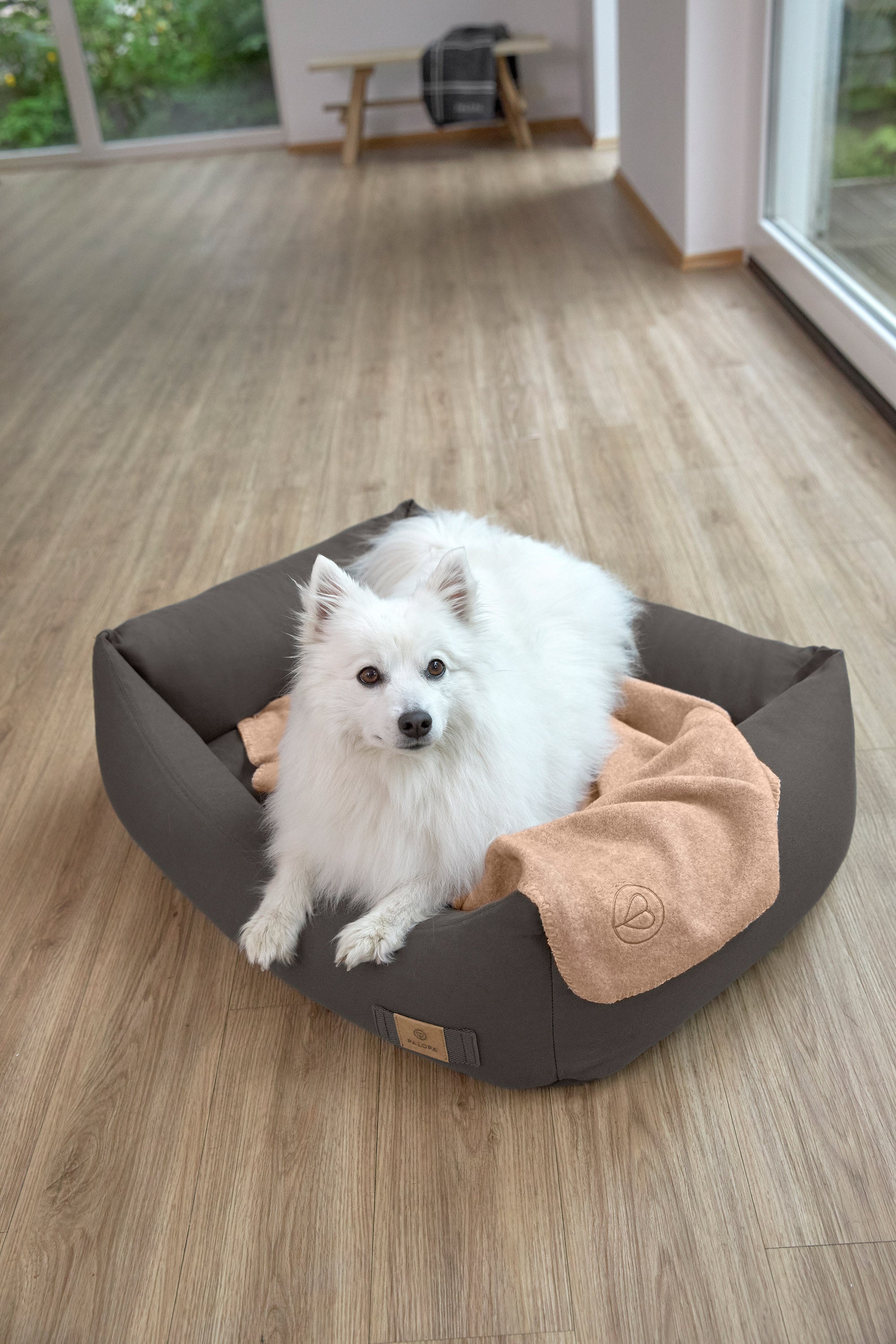 PALOPA Hundebett Anthrazit Fred Hundedecke Mathilda Ahorn Hundebett mit Raendern