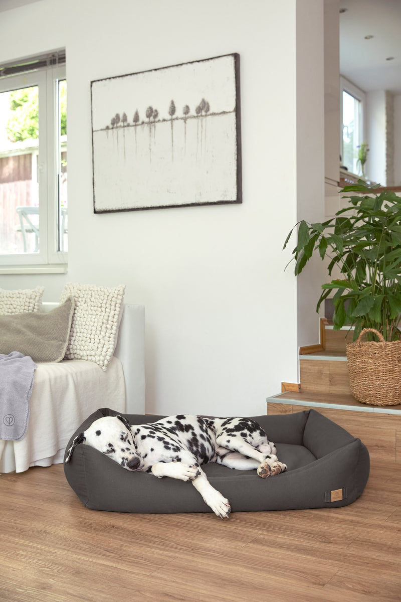 PALOPA Hundebett Fred Anthrazit Hundebett mit Rand
