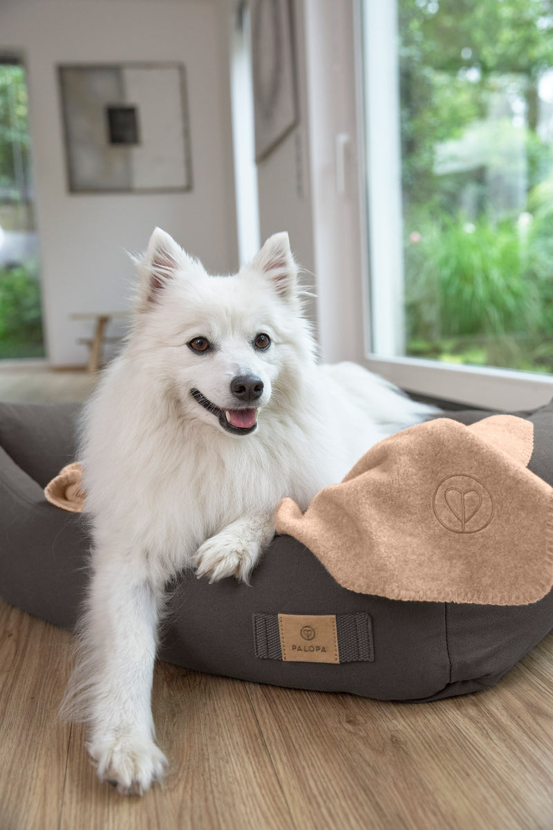 PALOPA Hundebett Fred Anthrazit Hundedecke Mathilda Ahorn