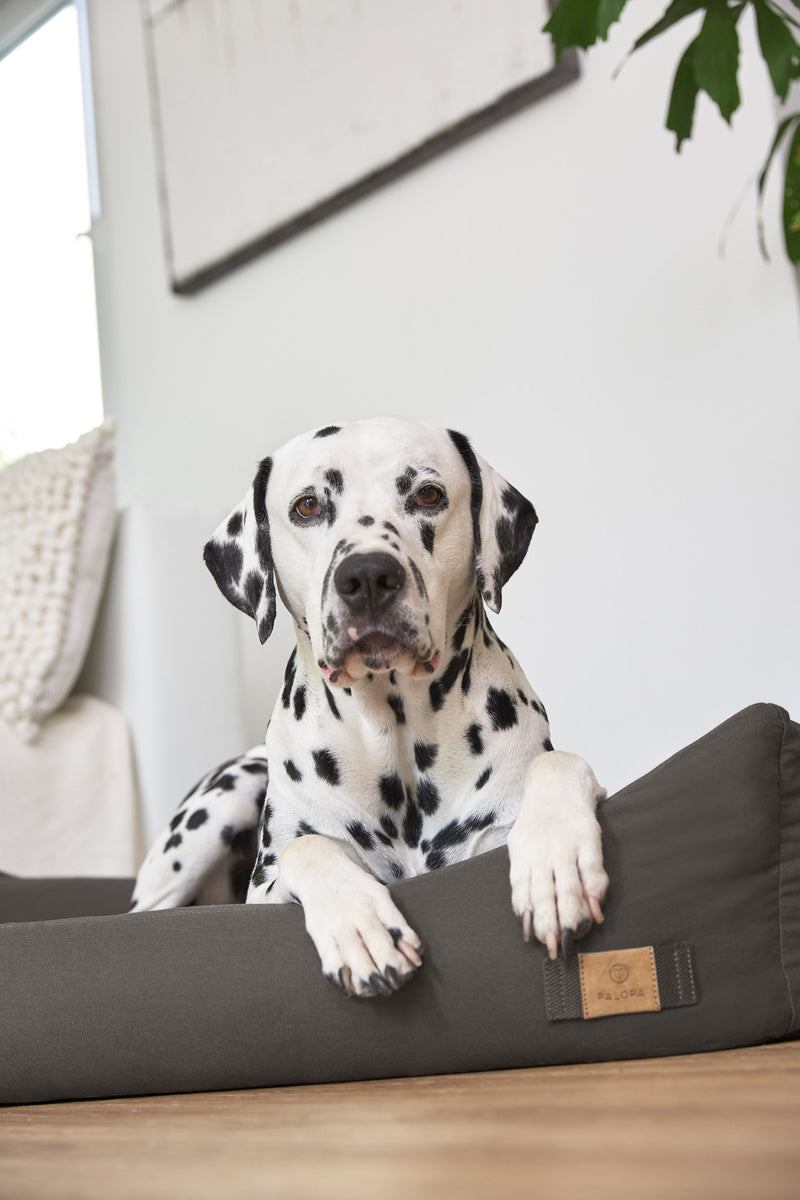 PALOPA Hundebett Fred Anthrazit ergonomisches Hundebett mit Rand