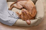 PALOPA Hundebett Fred Humus Hundedecke Mathilda Stein orthopaedisches Hundebett